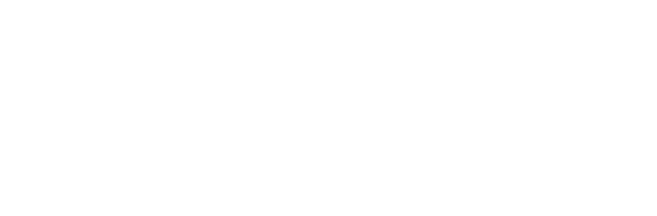Sprengnetter — Datenpartner